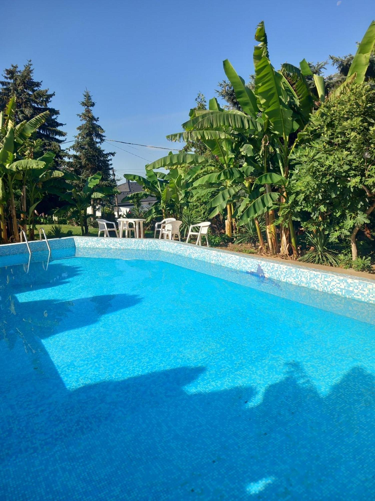 Palatinus Apartmanok Кестхей Экстерьер фото
