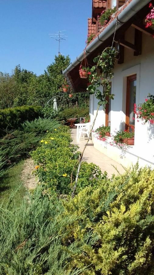 Palatinus Apartmanok Кестхей Экстерьер фото