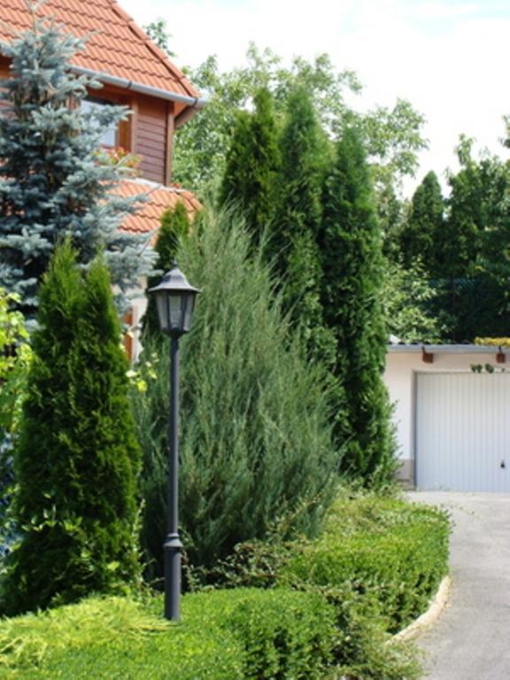 Palatinus Apartmanok Кестхей Экстерьер фото