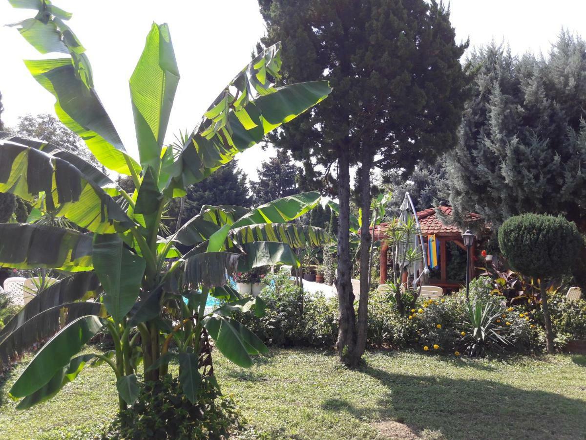 Palatinus Apartmanok Кестхей Экстерьер фото